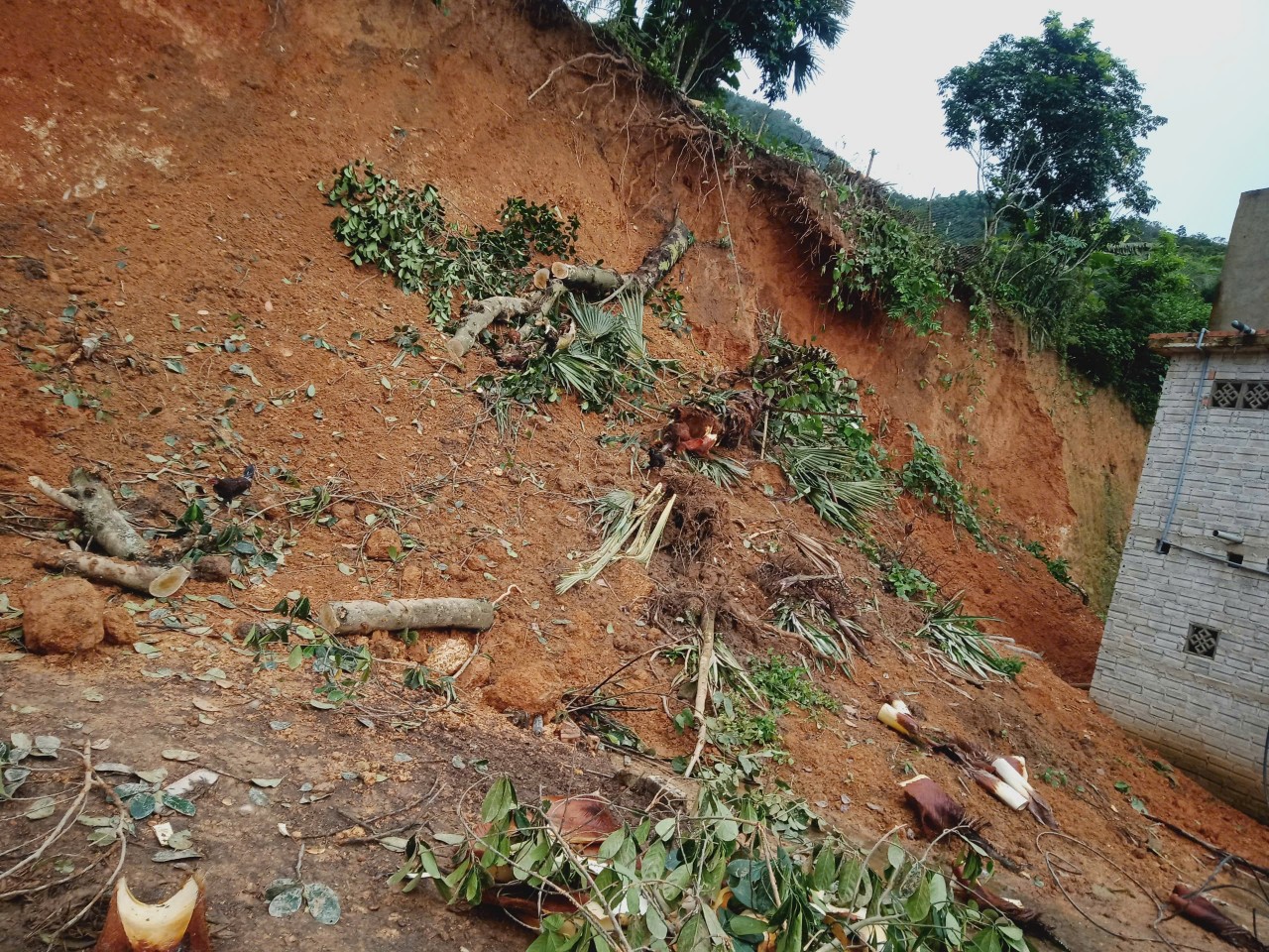 Thiet-hai-Mua-lu-21-8-2024-2.jpg