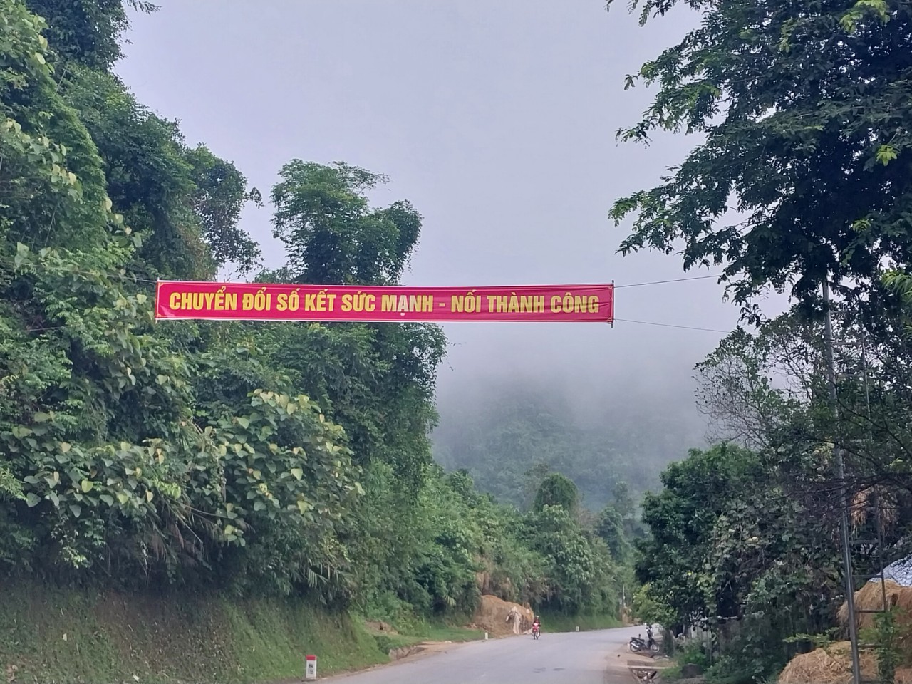 Anh-CDS-2-duong.jpg
